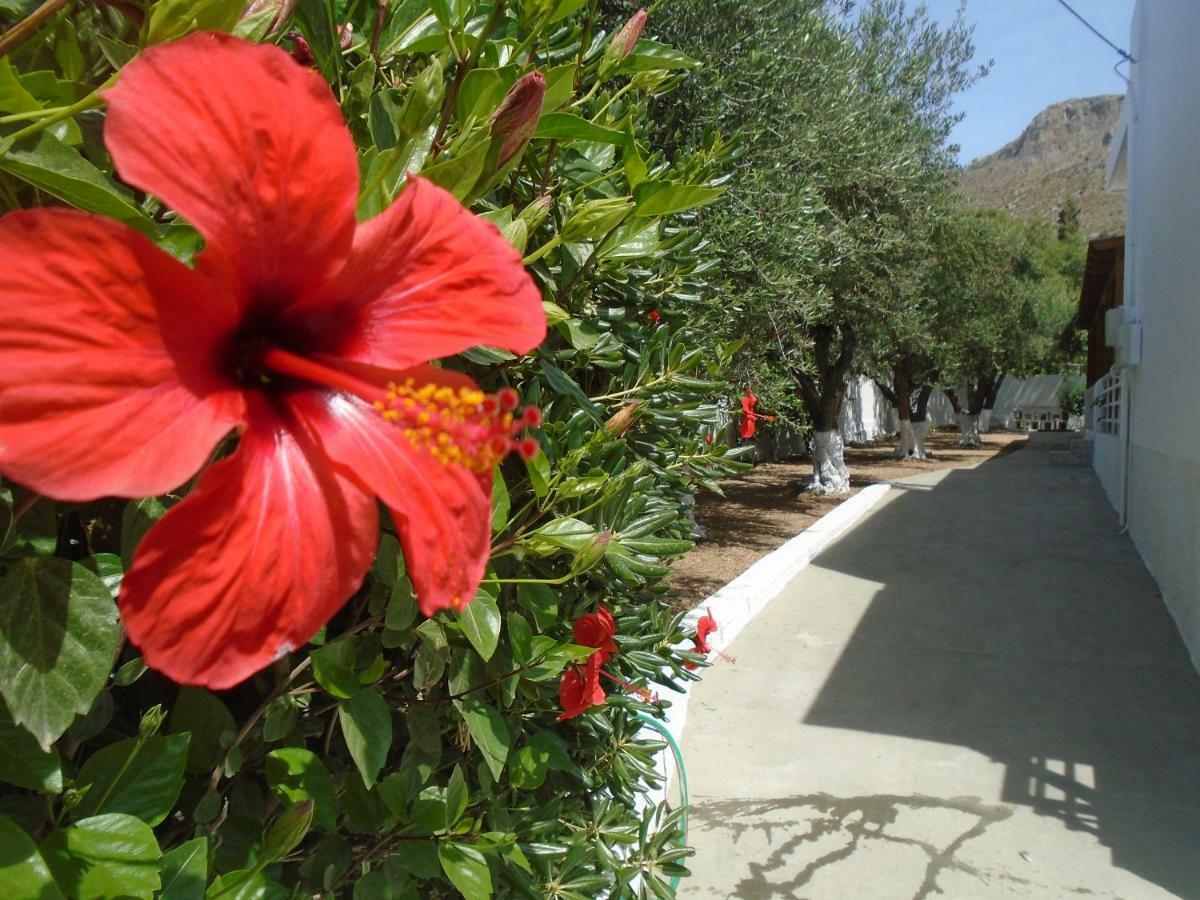 Leros Eleonas Apartments Alinda  Exterior foto